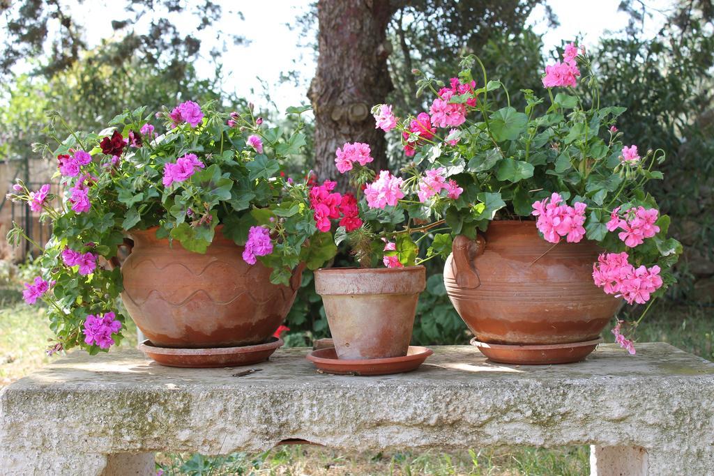 Masseria Gianecchia Cisternino Exterior photo