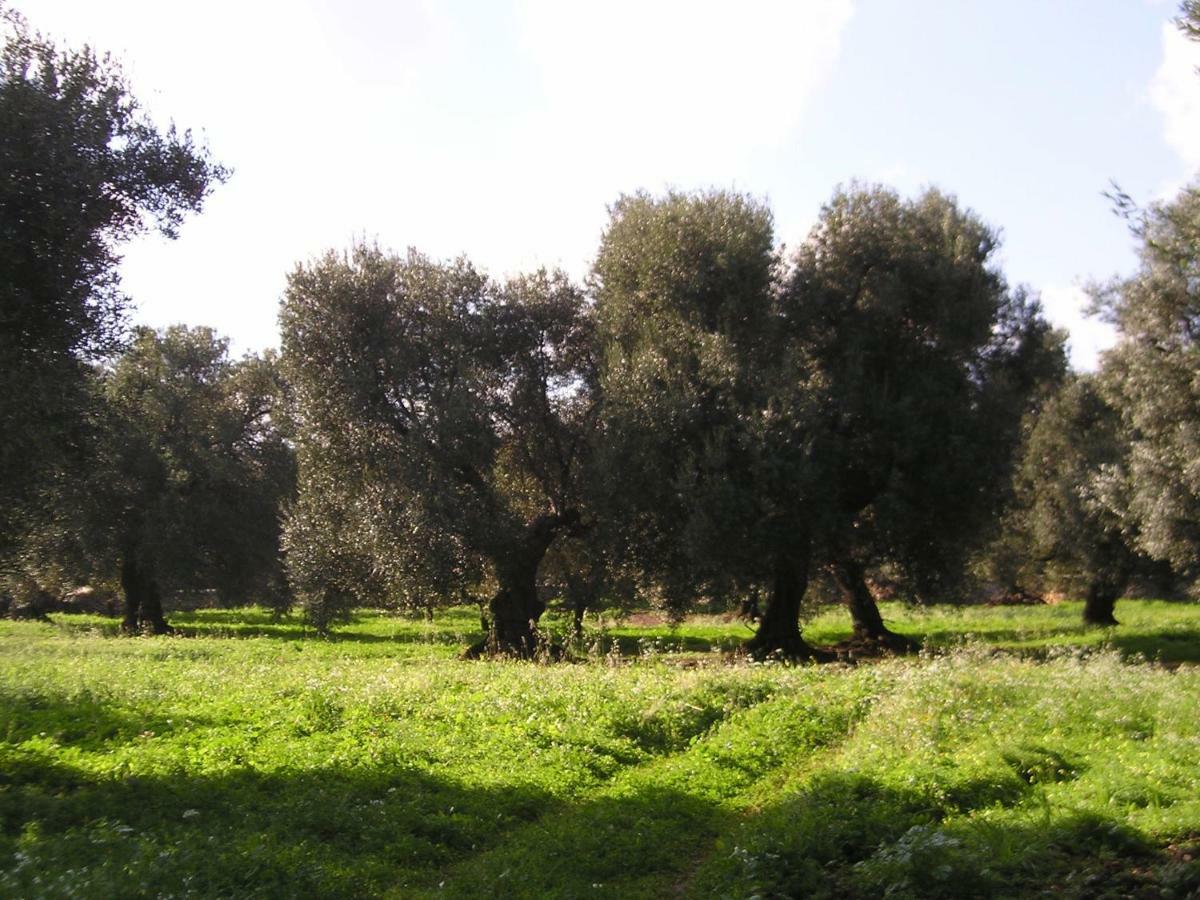 Masseria Gianecchia Cisternino Exterior photo